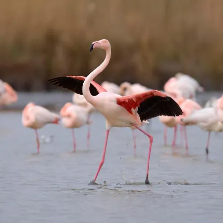 Escale Port-1 By Interhome *